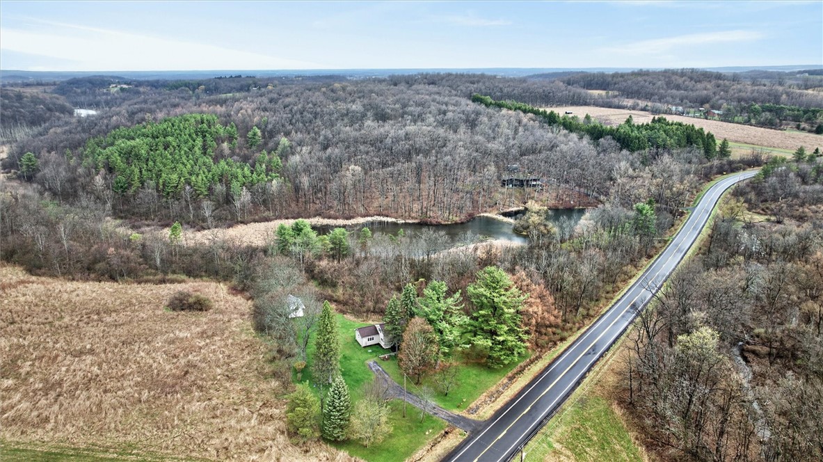 5790 Rossier Road Canandaigua Town, NY 14424 - Photo 36 of 46