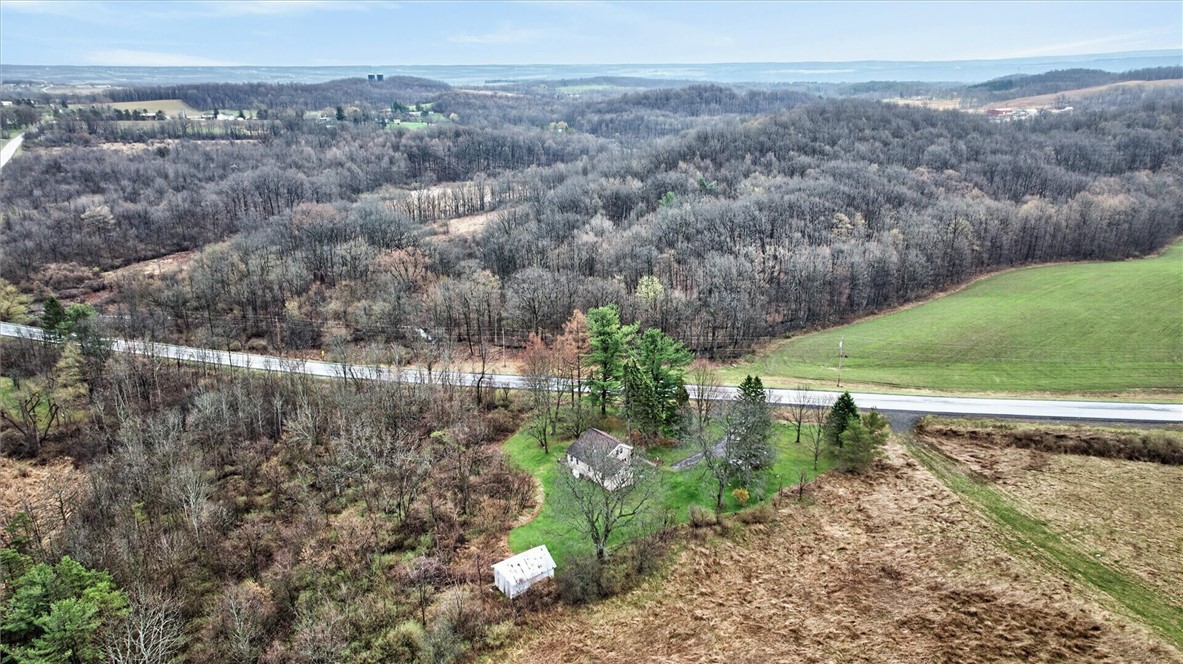 5790 Rossier Road Canandaigua Town, NY 14424 - Photo 37 of 46