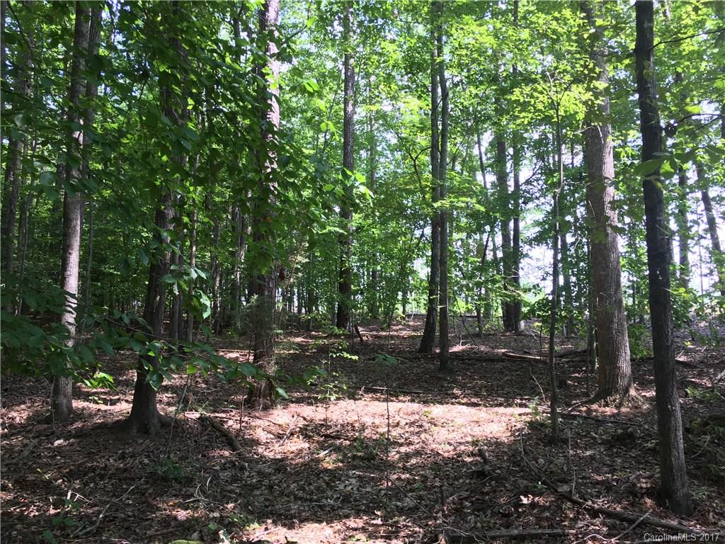 4703 Locklyn Road Waxhaw, NC 28173 - Photo 12 of 16 Gallery Image 12