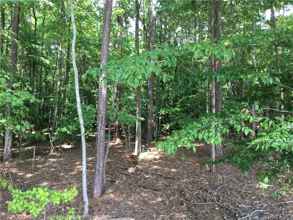 4703 Locklyn Road Waxhaw, NC 28173 - Photo 16 of 16 Gallery Image 16