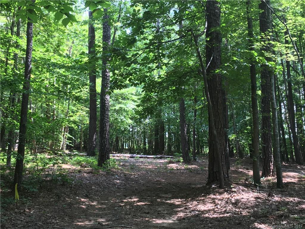 4703 Locklyn Road Waxhaw, NC 28173 - Photo 5 of 16 Gallery Image 5