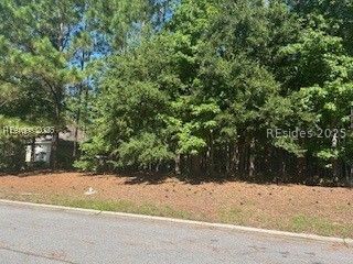 16 Cutter Circle Bluffton, SC 29909 - Photo 2 of 6
