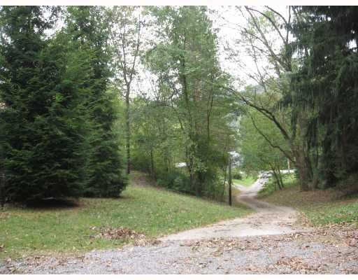 85-87 McClure Road Cheswick, PA 15024 - Photo 3 of 12 Land/Lot. Seclued & private semi-wooded & treed.