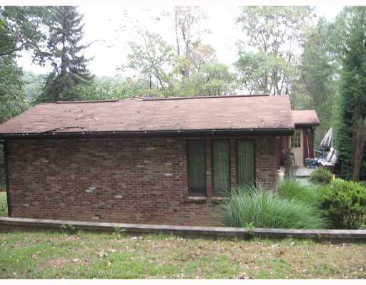 85-87 McClure Road Cheswick, PA 15024 - Photo 4 of 12 Exterior Back. Lush landscape & grounds.Top side of home.