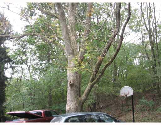 85-87 McClure Road Cheswick, PA 15024 - Photo 5 of 12 Exterior Front. Shows the wooded surroundings off the driveway.