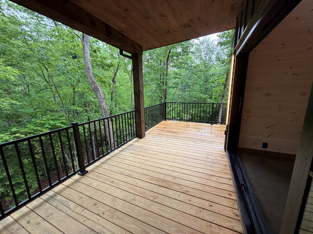 538 Hiawatha Trail Blue Ridge, GA 30513 - Photo 38 of 60