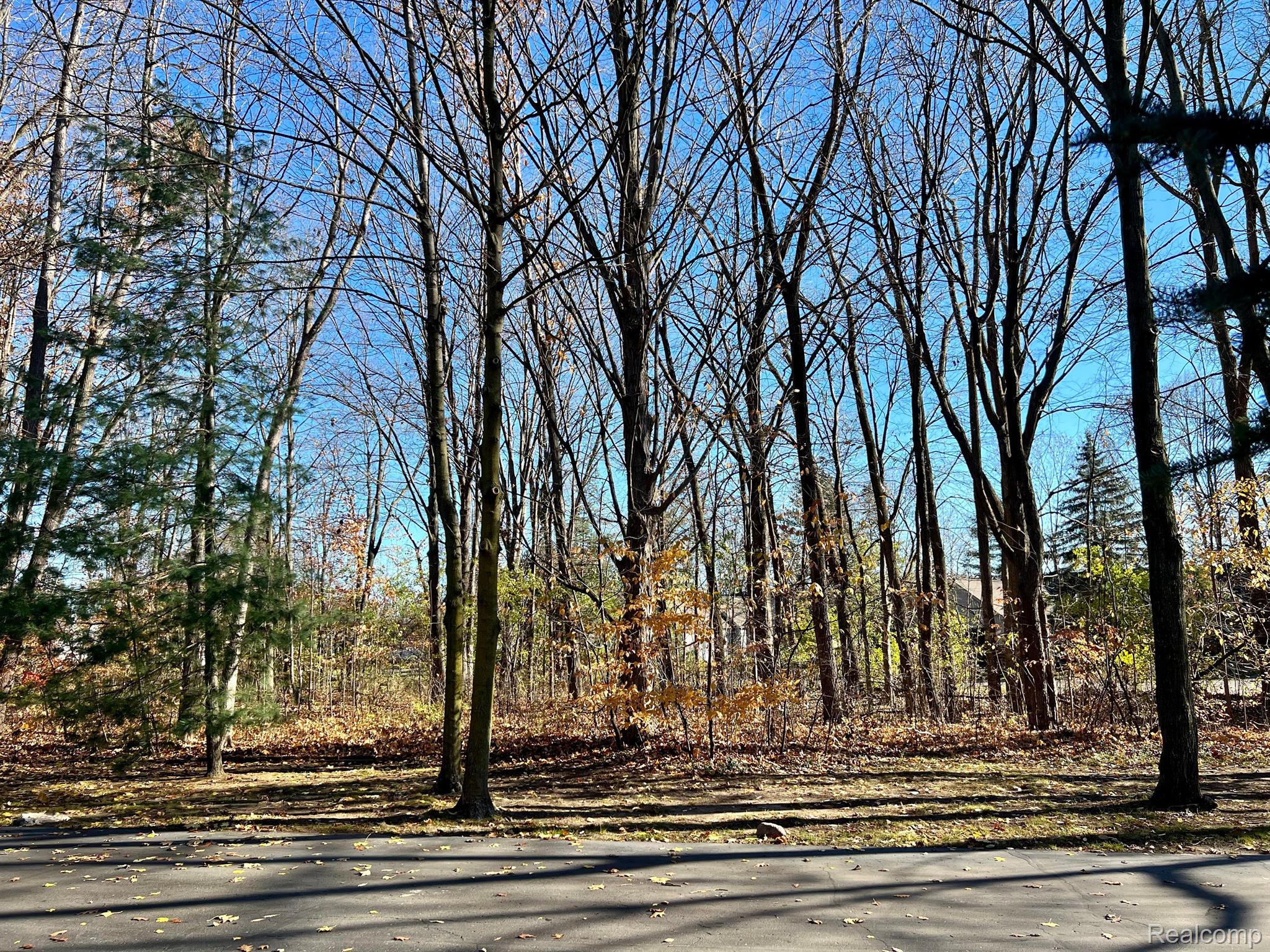 23067 Farmington Road Farmington, MI 48336 - Photo 2 of 7 Gallery Image 2
