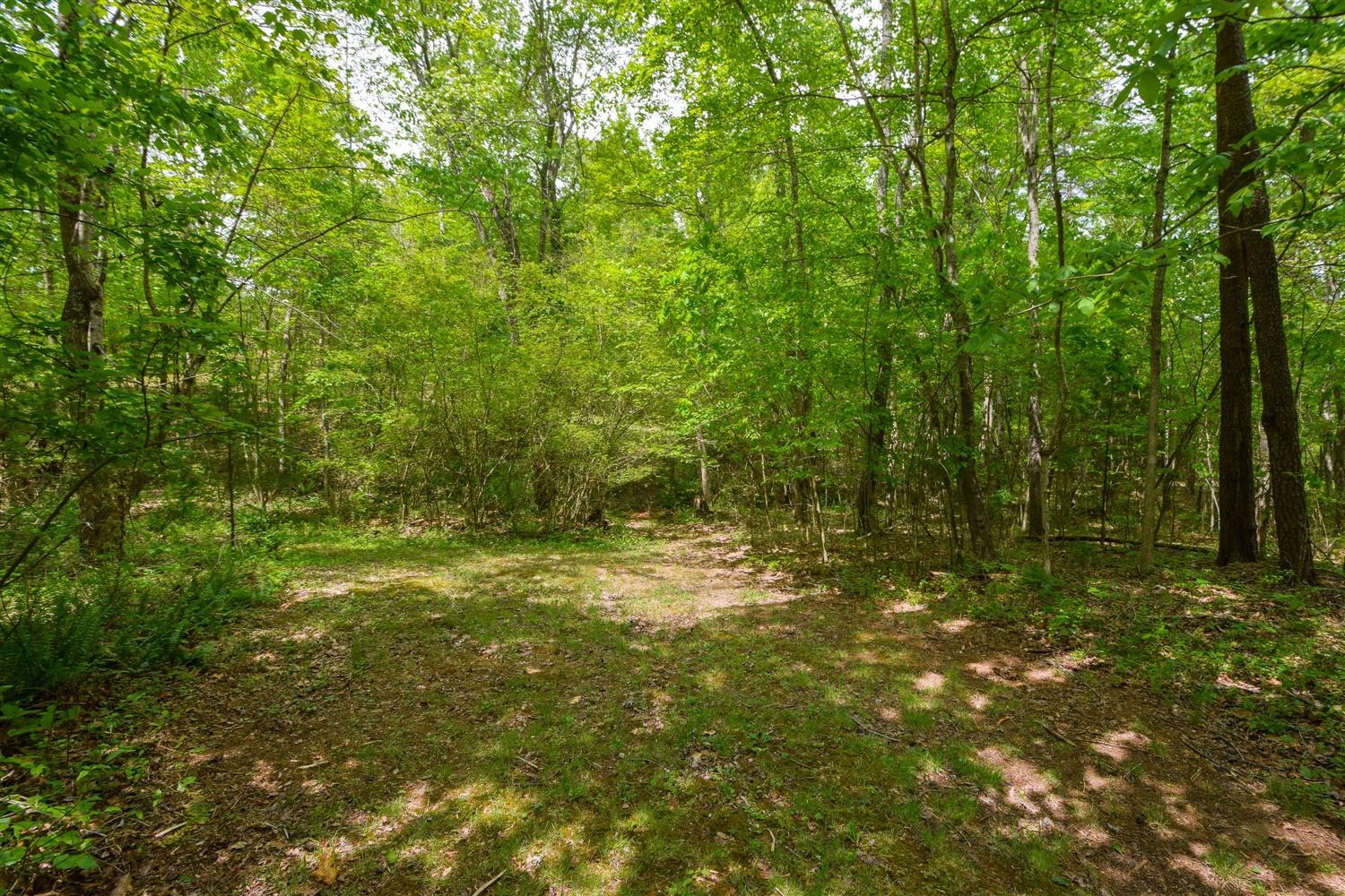 1378 McCrae Road Bedford, VA 24523 - Photo 44 of 45 41-Photo-41
