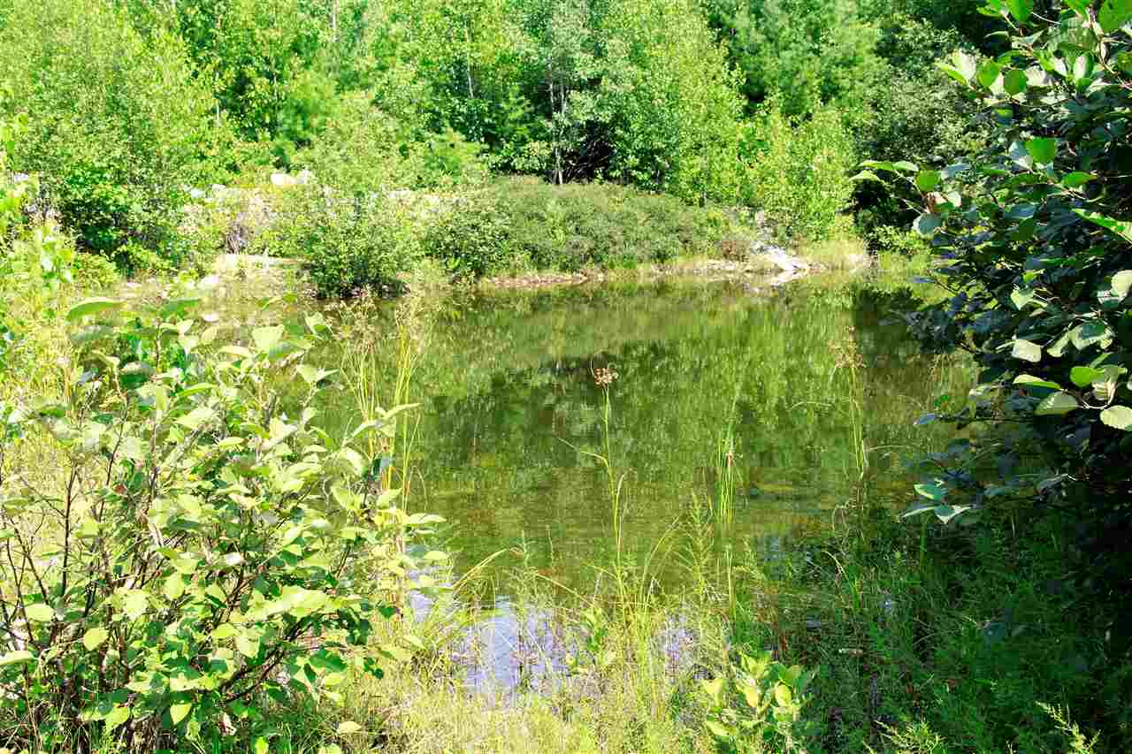 127 Coffin Brook Road Alton, NH 03809 - Photo 22 of 30