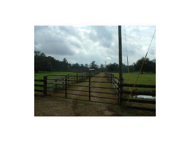 0 Phillips Road Folsom, LA 70437 - Photo 3 of 4 Gallery Image 3