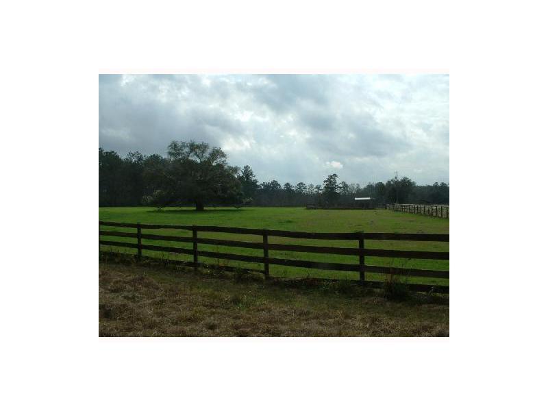 0 Phillips Road Folsom, LA 70437 - Photo 4 of 4 Gallery Image 4