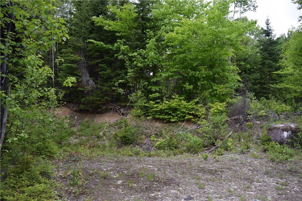 68 Pickle Ridge Road Springfield, ME 04487 - Photo 9 of 32 Maine Recreational Land for Sale in...