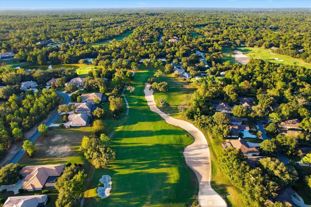 3255 North Pinelake Village Point Lecanto, FL 34461 - Photo 48 of 69