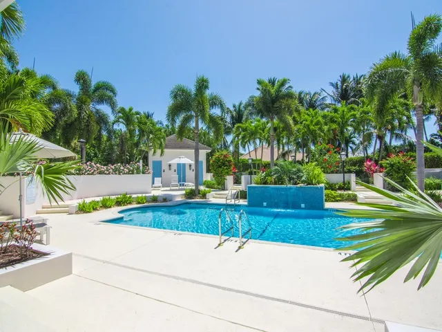 a view of a yard with palm trees