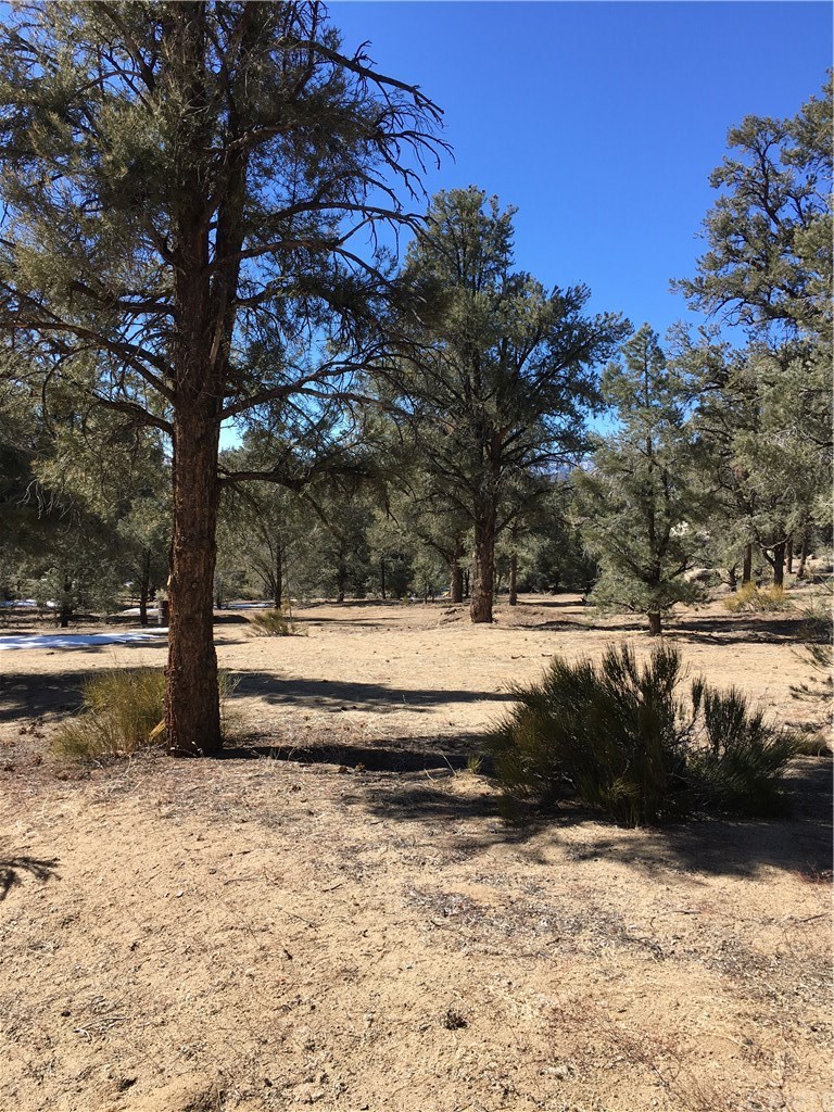 0 Pinion Ridge Inyokern, CA 93527 - Photo 11 of 14 Gallery Image 11