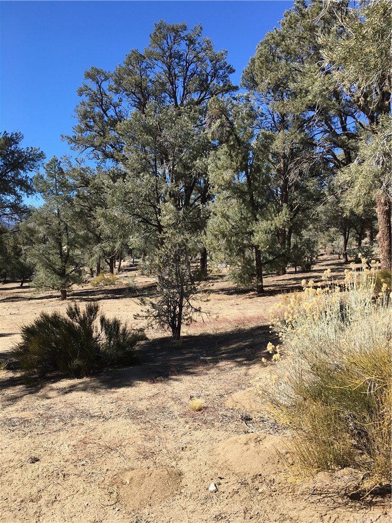 0 Pinion Ridge Inyokern, CA 93527 - Photo 10 of 14 Gallery Image 10