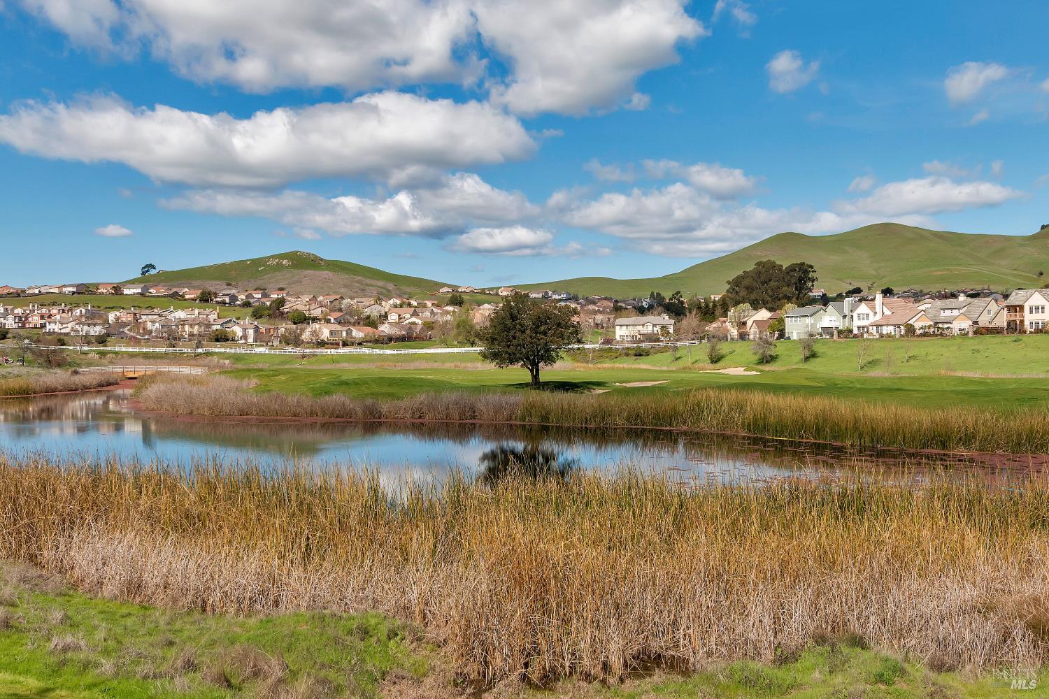 7072 Alder Creek Road Vallejo, CA 94591 - Photo 54 of 65