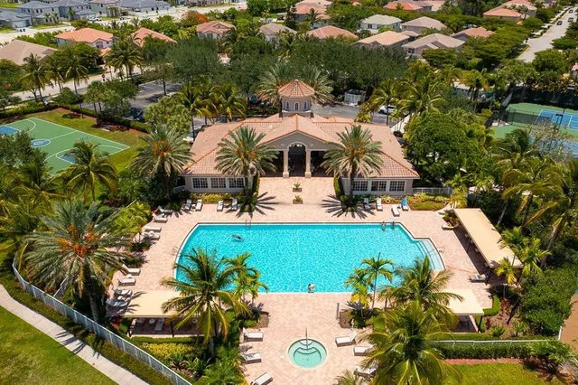 a view of a yard with plants