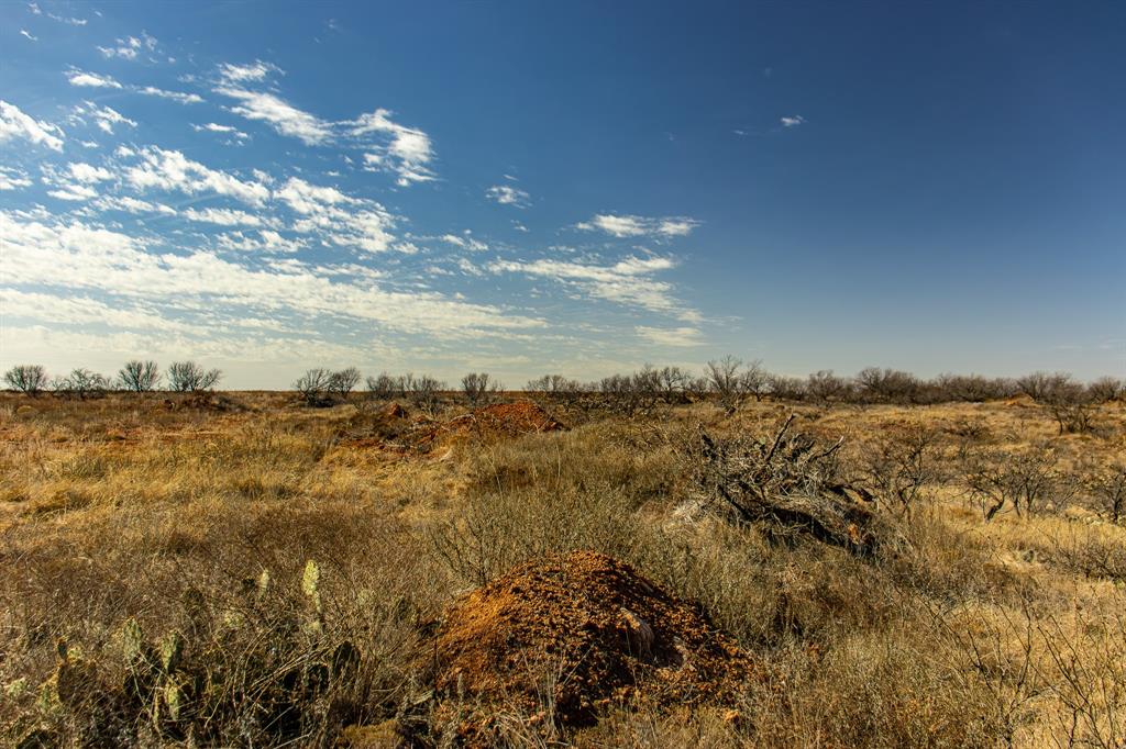 Tbd North Westover Road Seymour, TX 76380 - Photo 15 of 40 a view of a city
