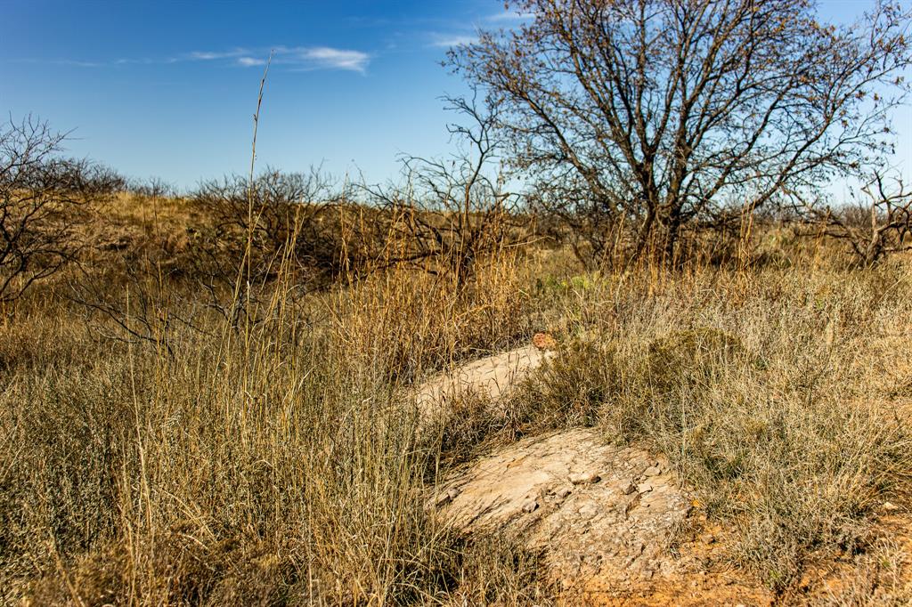 Tbd North Westover Road Seymour, TX 76380 - Photo 18 of 40 a view of a yard
