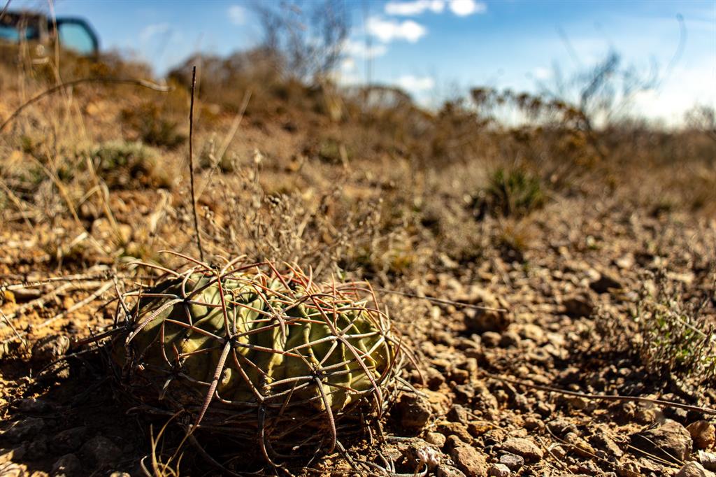 Tbd North Westover Road Seymour, TX 76380 - Photo 19 of 40 a view of a room