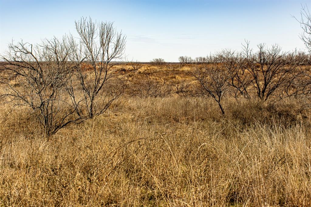 Tbd North Westover Road Seymour, TX 76380 - Photo 28 of 40