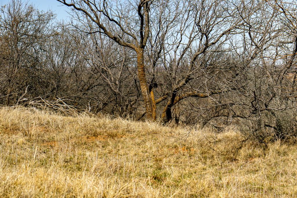 Tbd North Westover Road Seymour, TX 76380 - Photo 29 of 40 a view of a yard covered with snow