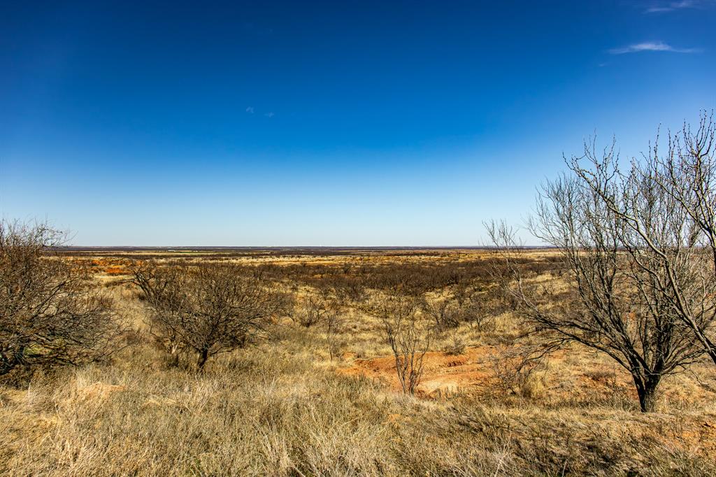 Tbd North Westover Road Seymour, TX 76380 - Photo 32 of 40 a view of yard and ocean