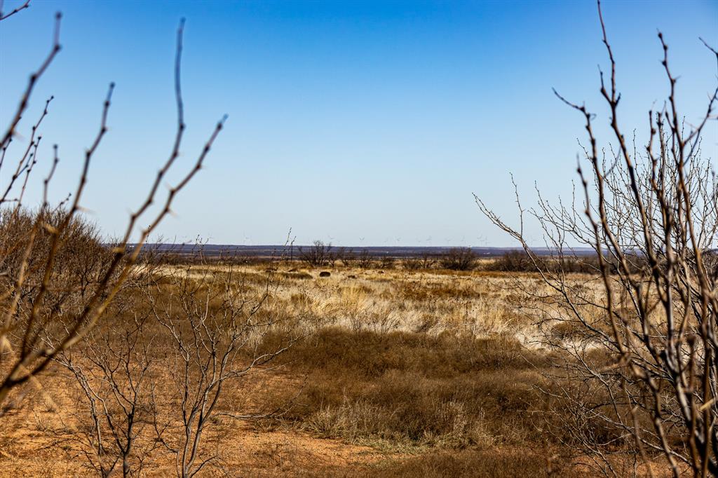 Tbd North Westover Road Seymour, TX 76380 - Photo 7 of 40 a view of a room with wooden fence