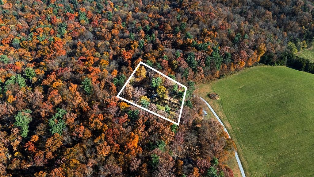 333 Bridgewater Road Bridgewater, VA 22812 - Photo 41 of 46