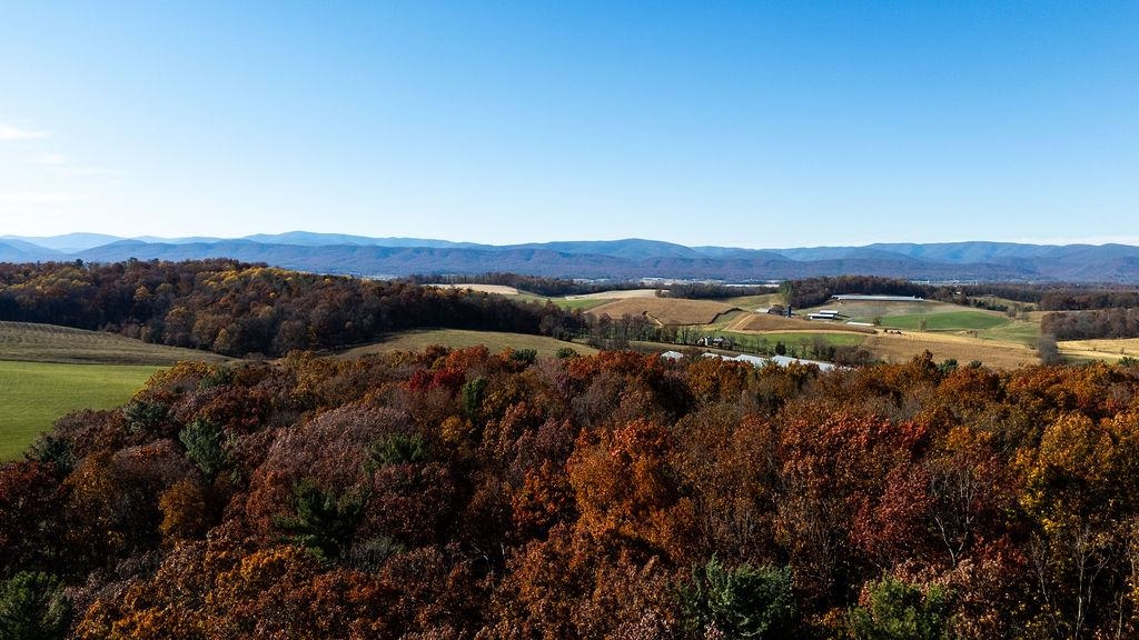 333 Bridgewater Road Bridgewater, VA 22812 - Photo 43 of 46