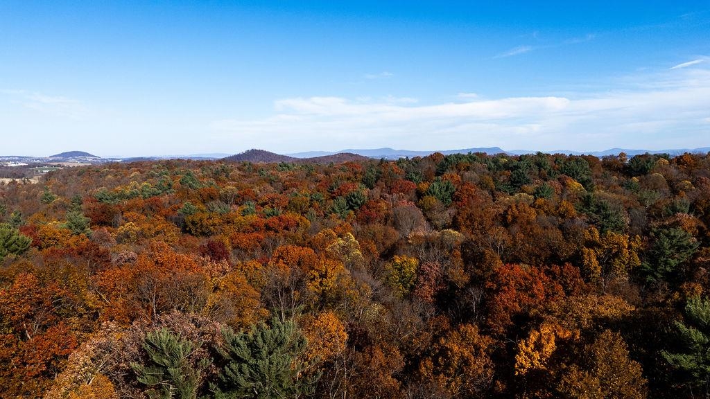 333 Bridgewater Road Bridgewater, VA 22812 - Photo 44 of 46