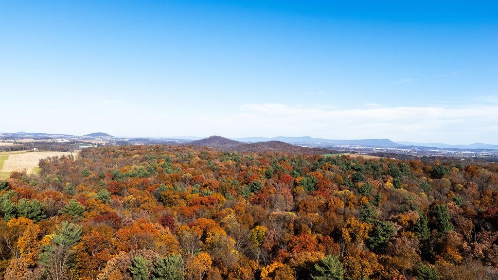 333 Bridgewater Road Bridgewater, VA 22812 - Photo 45 of 46