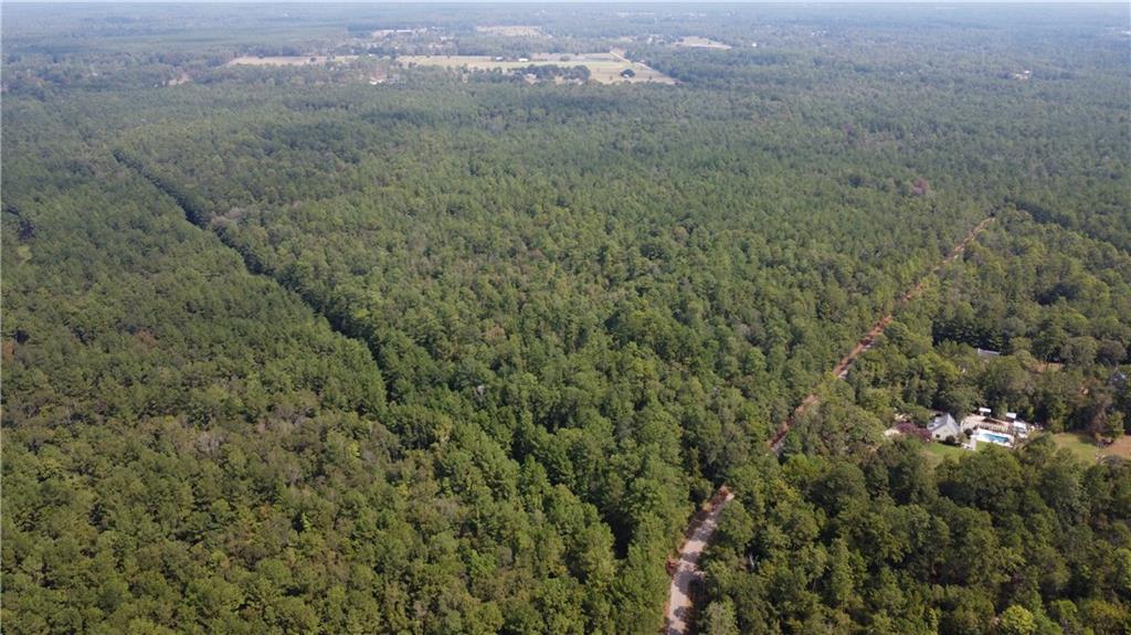 102-acres Bruhl Road Folsom, LA 70437 - Photo 2 of 4