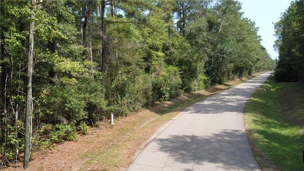 102-acres Bruhl Road Folsom, LA 70437 - Photo 3 of 4