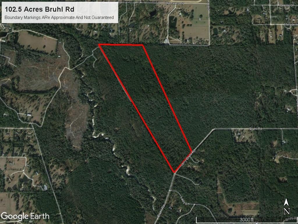 102-acres Bruhl Road Folsom, LA 70437 - Photo 4 of 4