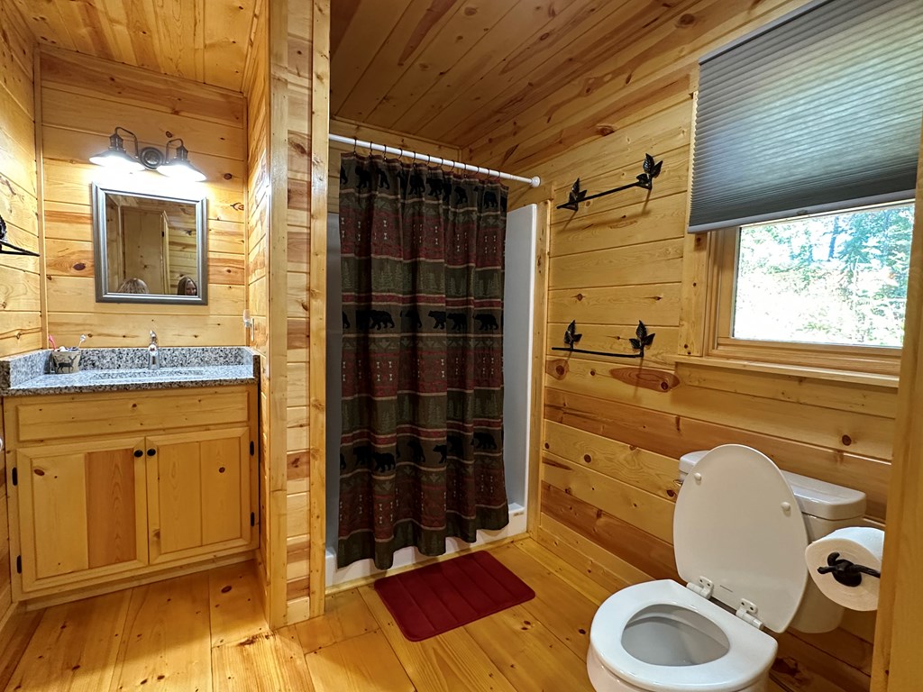 100 Whispering Hills Road Murphy, NC 28906 - Photo 12 of 46