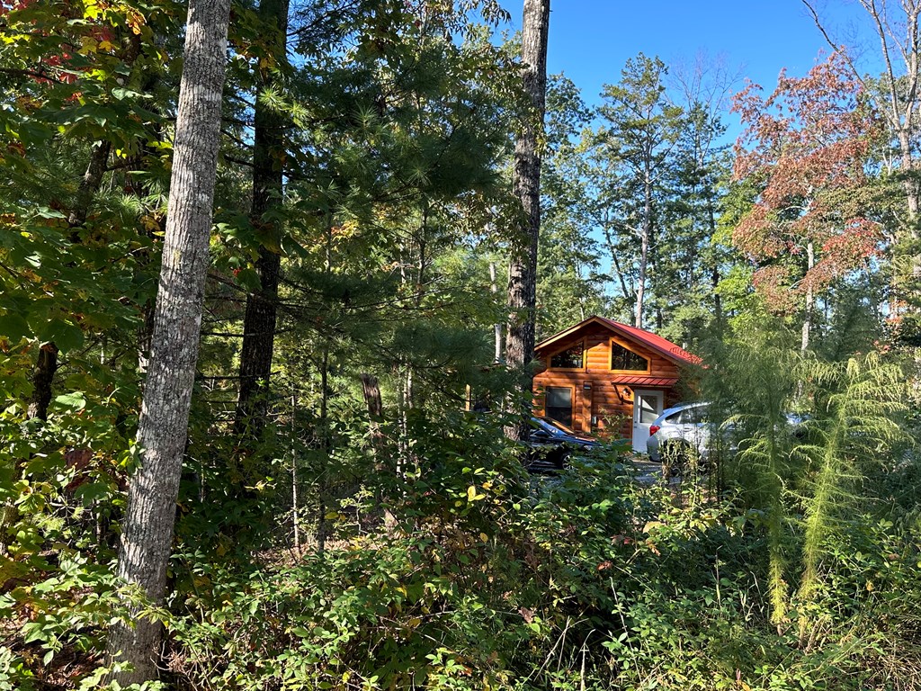 100 Whispering Hills Road Murphy, NC 28906 - Photo 2 of 46