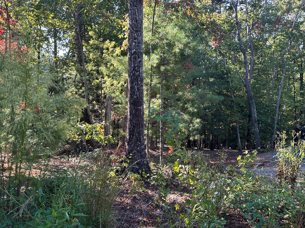 100 Whispering Hills Road Murphy, NC 28906 - Photo 3 of 46