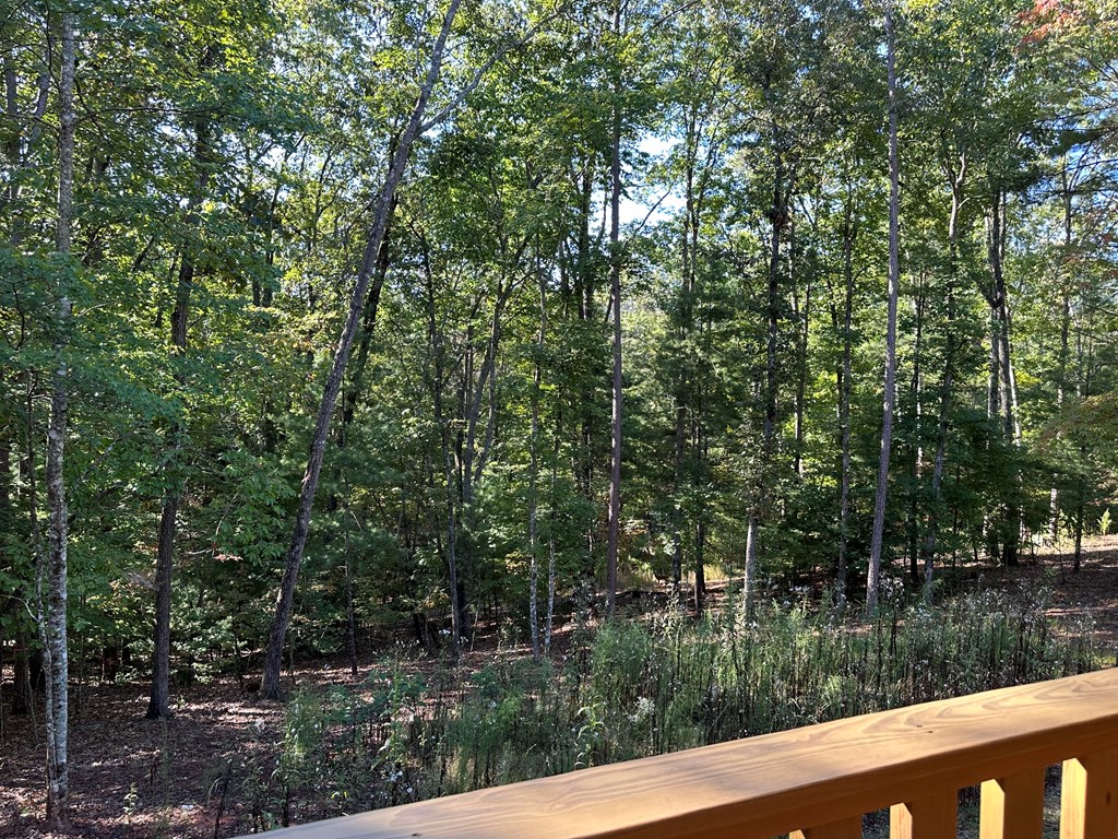 100 Whispering Hills Road Murphy, NC 28906 - Photo 36 of 46