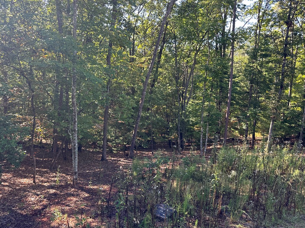 100 Whispering Hills Road Murphy, NC 28906 - Photo 37 of 46