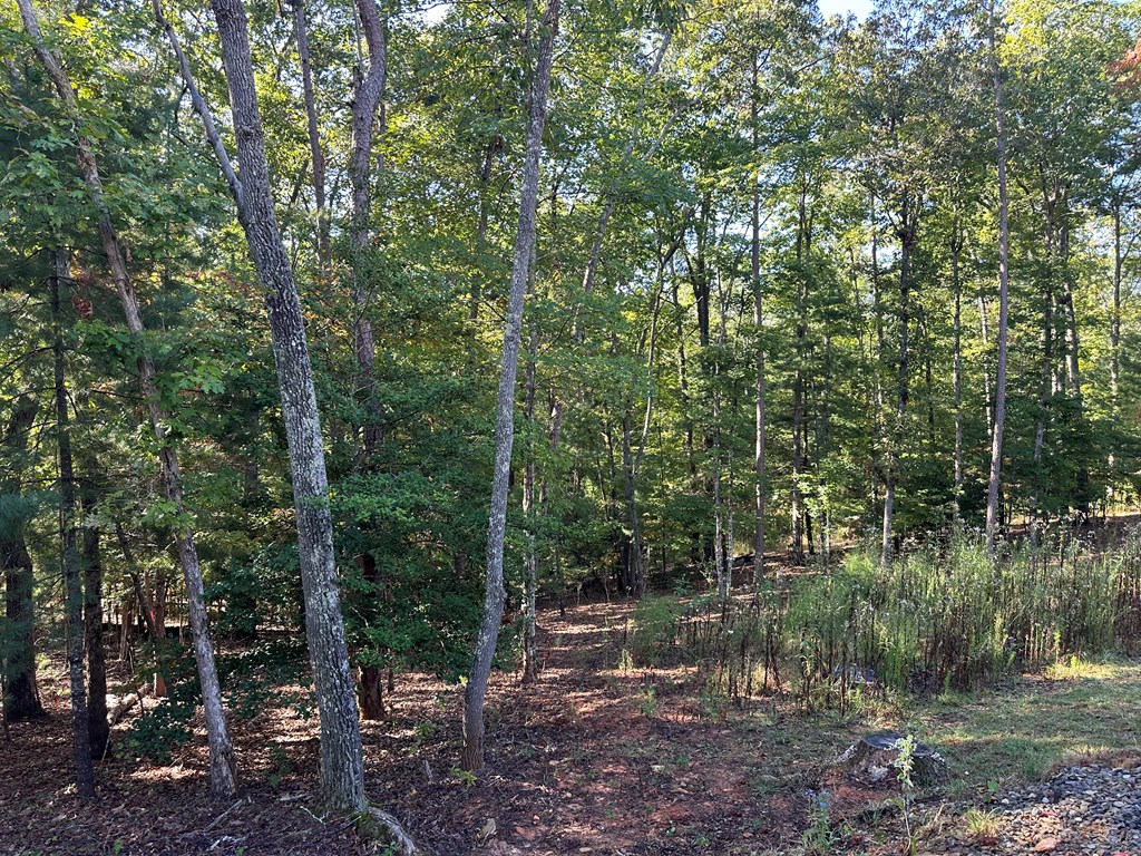 100 Whispering Hills Road Murphy, NC 28906 - Photo 6 of 46