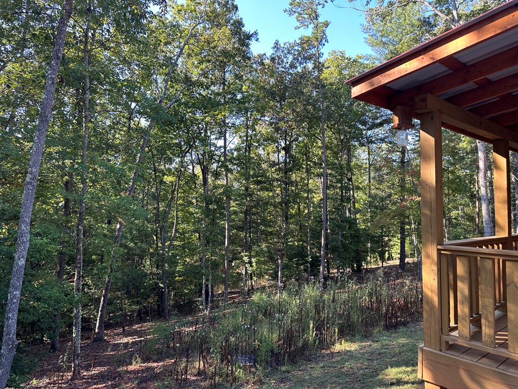 100 Whispering Hills Road Murphy, NC 28906 - Photo 7 of 46