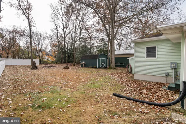 a view of a backyard with large trees