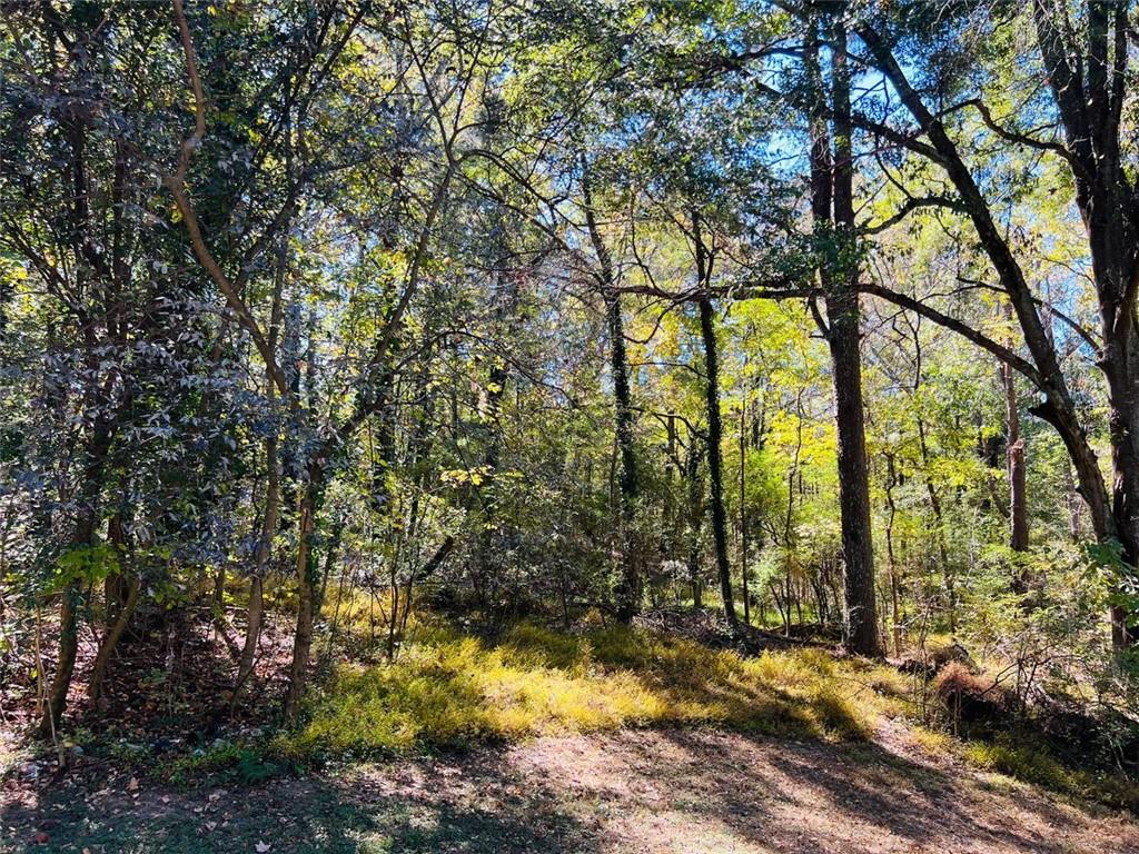 3940 Dunn Street Southwest South Fulton, GA 30349 - Photo 22 of 22