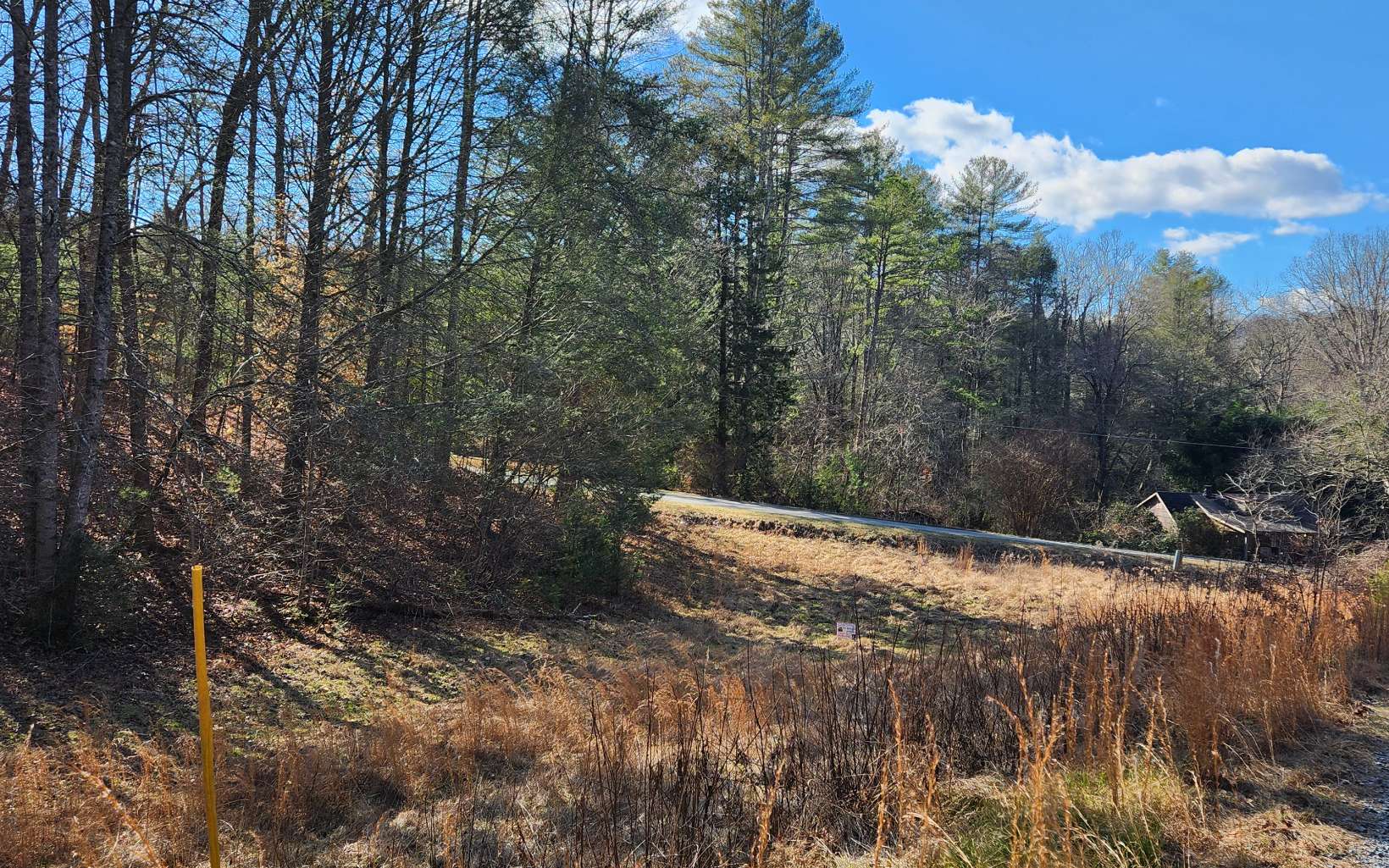 Lot 5 Dry Branch Blue Ridge, GA 30513 - Photo 9 of 21 Additional View