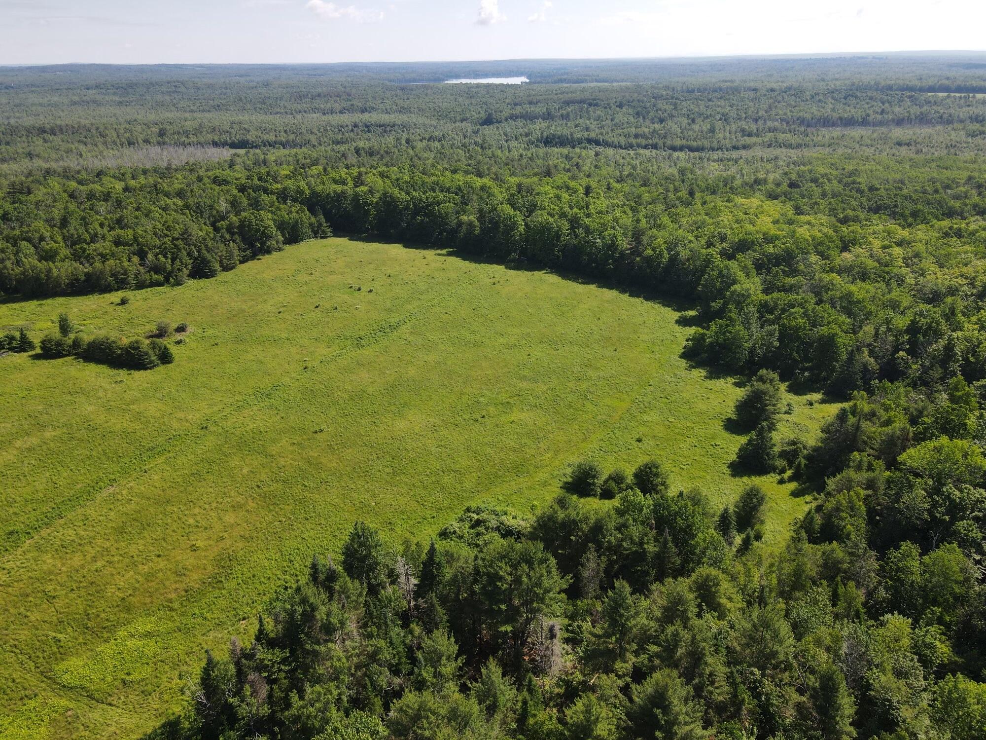 Lot 3 East Newport Road Stetson, ME 04488 - Photo 4 of 23 dji_fly_20240613_091638_161_171828461824