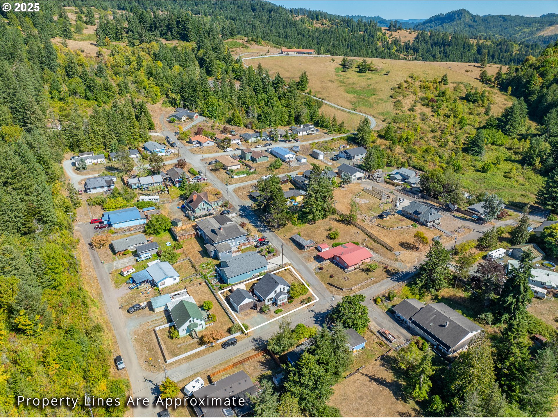 1753 20th Street Myrtle Point, OR 97458 - Photo 42 of 44 an aerial view of residential building with outdoor space and river