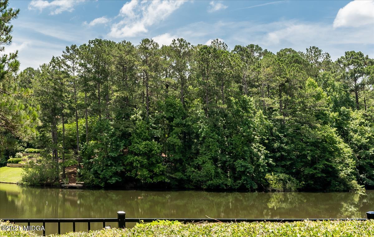 135 Rivoli Ridge Drive Macon, GA 31210 - Photo 35 of 46 a view of a yard