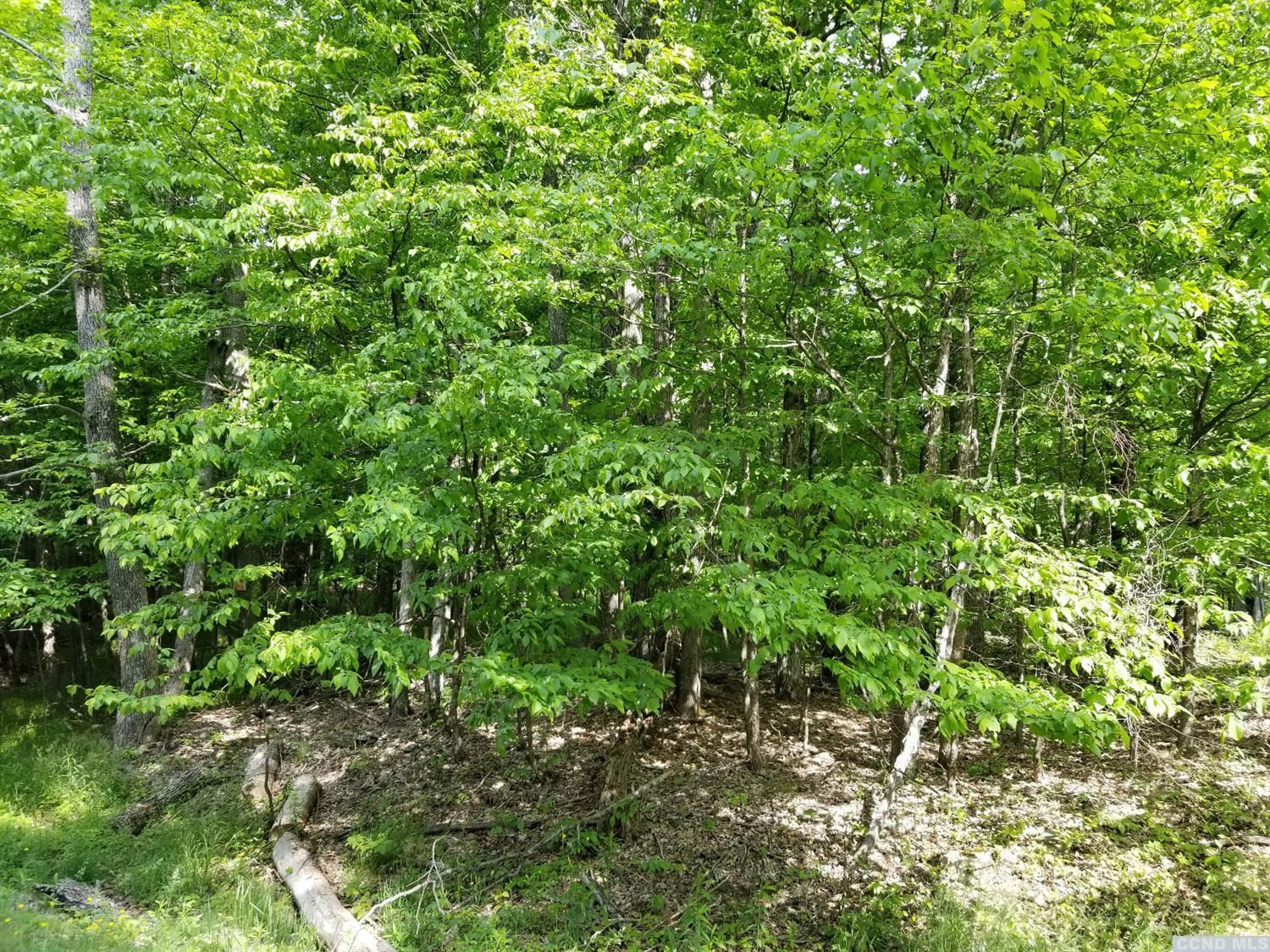 0 Zinno Road Windham, NY 12496 - Photo 8 of 13 Photo 8
